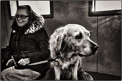 фото "А ей-то весело..."