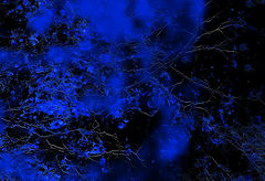 photo "***"