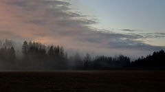 photo "***"