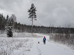 фото "Зимняя прогулка"