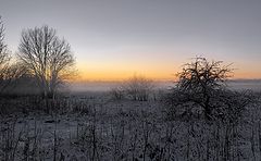 фото "Холодает..."