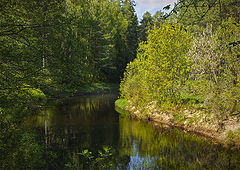 фото "Поворот"