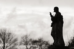 photo "***"