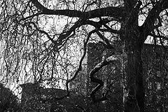 photo "T2"