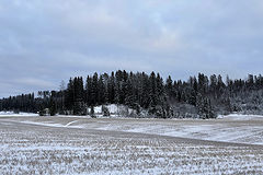photo "***"