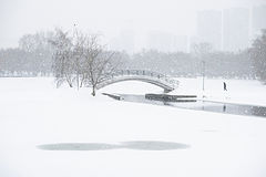 photo "***"