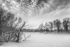 photo "***"