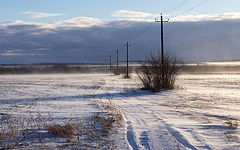 фото "Поземка"