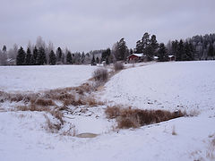 фото "сумерки"