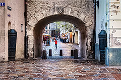 photo "Swedish Gate"