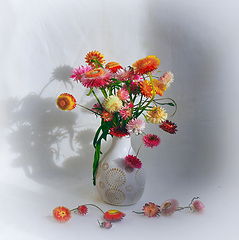 фото "***"