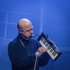 photo "Melodica solo"