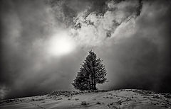 photo "***"