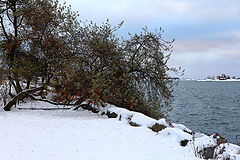 фото "Katajanokka"