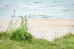 photo "Baltics 2"