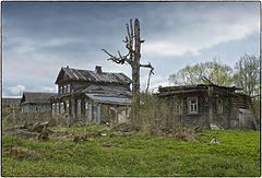 фото "В Михайловском"