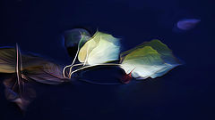фото "***"