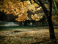photo "***"