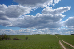photo "***"