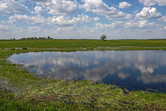 photo "***"
