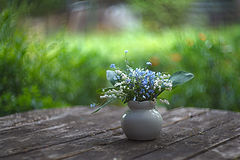 photo "***"