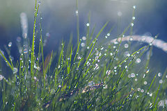 photo "***"