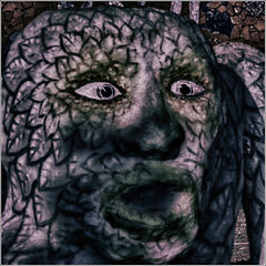 photo "***"