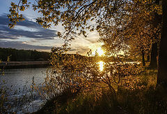 photo "Golden May sunset"