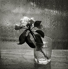 photo "***"