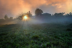 photo "***"