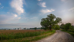 photo "***"