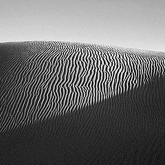 фото "Longdune"