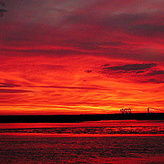 photo "Light o fire"
