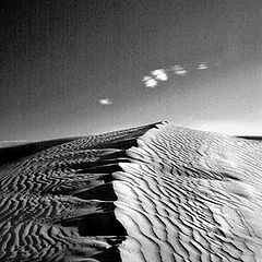 photo "Digidune"