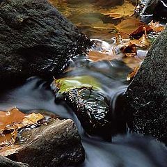 фото "Flowing water"