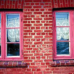 фото "What a way to treat Grandma`s lace curtains!"