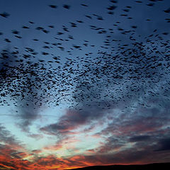 фото "Kosovo Sunset"