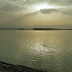 фото "-400m.(Dead Sea)"