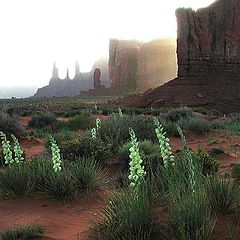 фото "Monument Valley at Sunset"