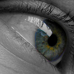 фото "Eye see colours"