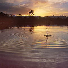 photo "Splash"