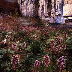 photo "The Ruins"