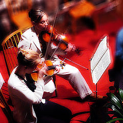 photo "Haendel, Second Violin"