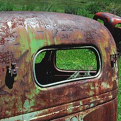 photo "Green and Red Trucks"