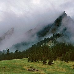 фото "Mountain Mist"