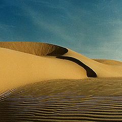 photo "Sand Dunes # 1"