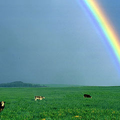 photo "Outstanding in our field..."