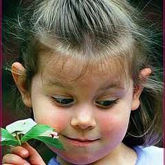 фото "The Shy Little Girl"