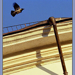 photo "Raven and a pipe (from a cycle Fragments)"