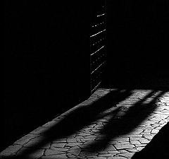 photo "Shadows"